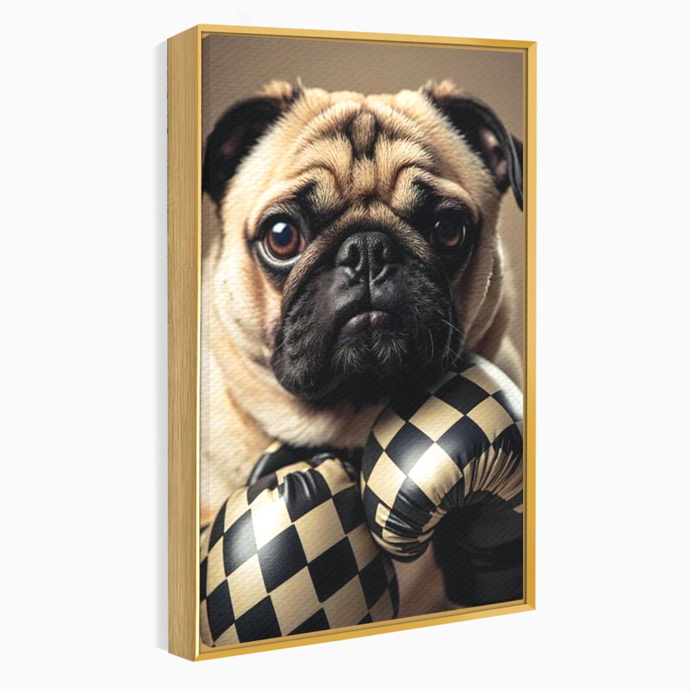 Tablou canvas cu tablou canvas cu pug in manusi de box, in rama de aluminiu auriu